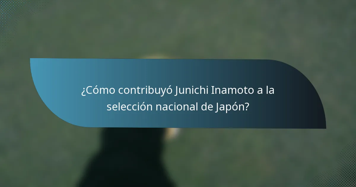 ¿Cómo contribuyó Junichi Inamoto a la selección nacional de Japón?