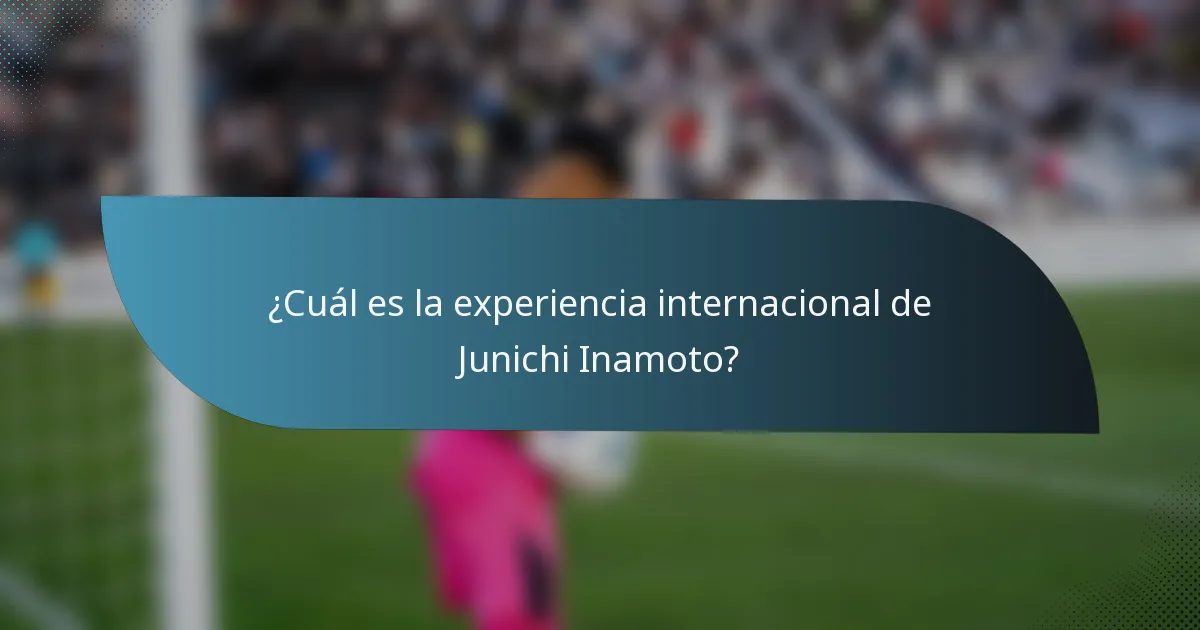 ¿Cuál es la experiencia internacional de Junichi Inamoto?