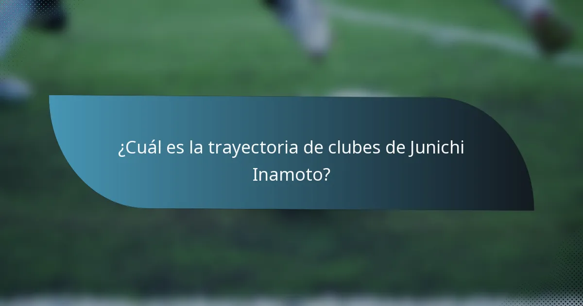 ¿Cuál es la trayectoria de clubes de Junichi Inamoto?